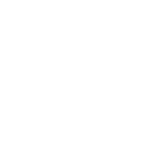 LOGO ELLES blanc-01